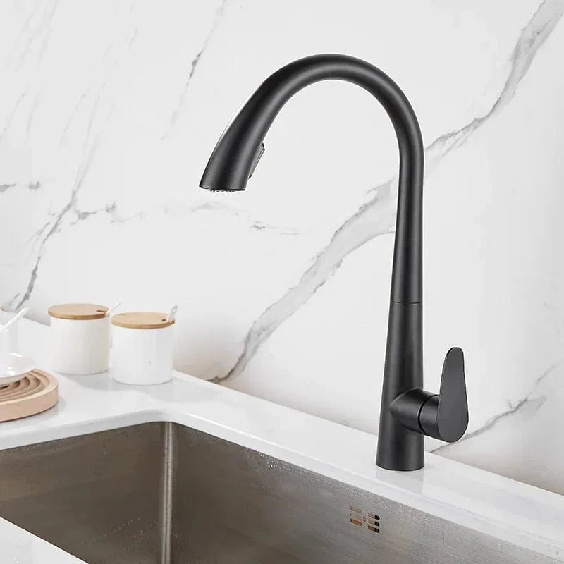Noir Douchette Evier Cuisine Mitigeo