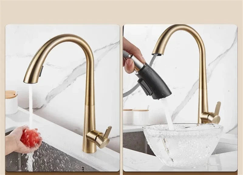Douchette Evier Cuisine Mitigeo