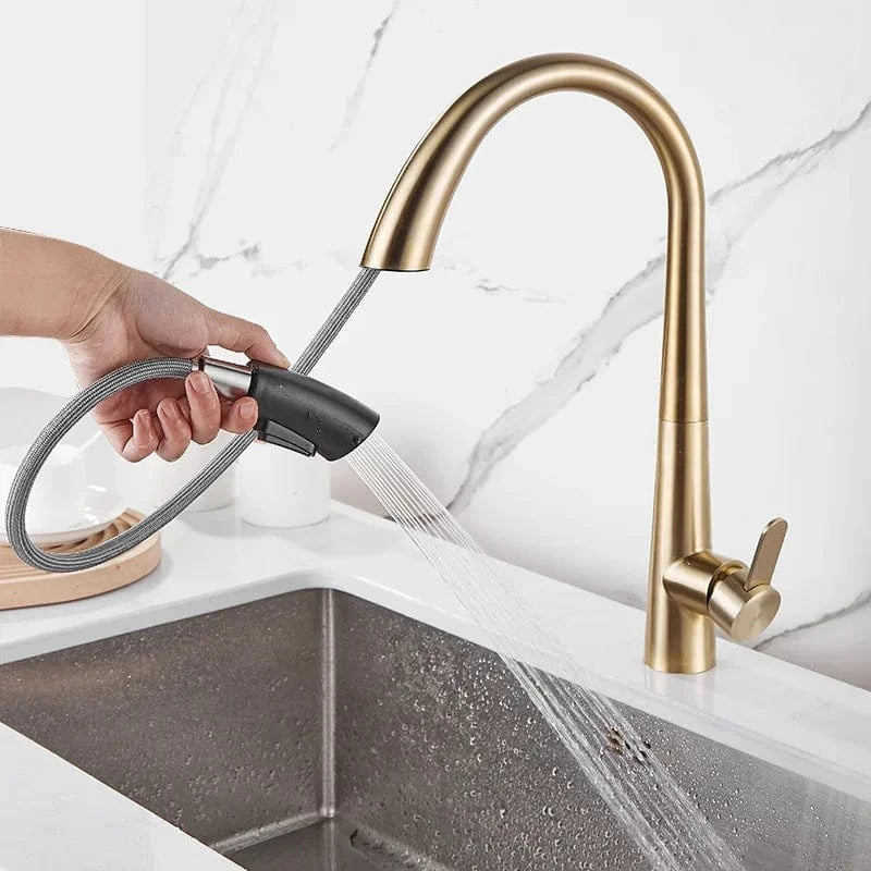 Douchette Evier Cuisine Mitigeo