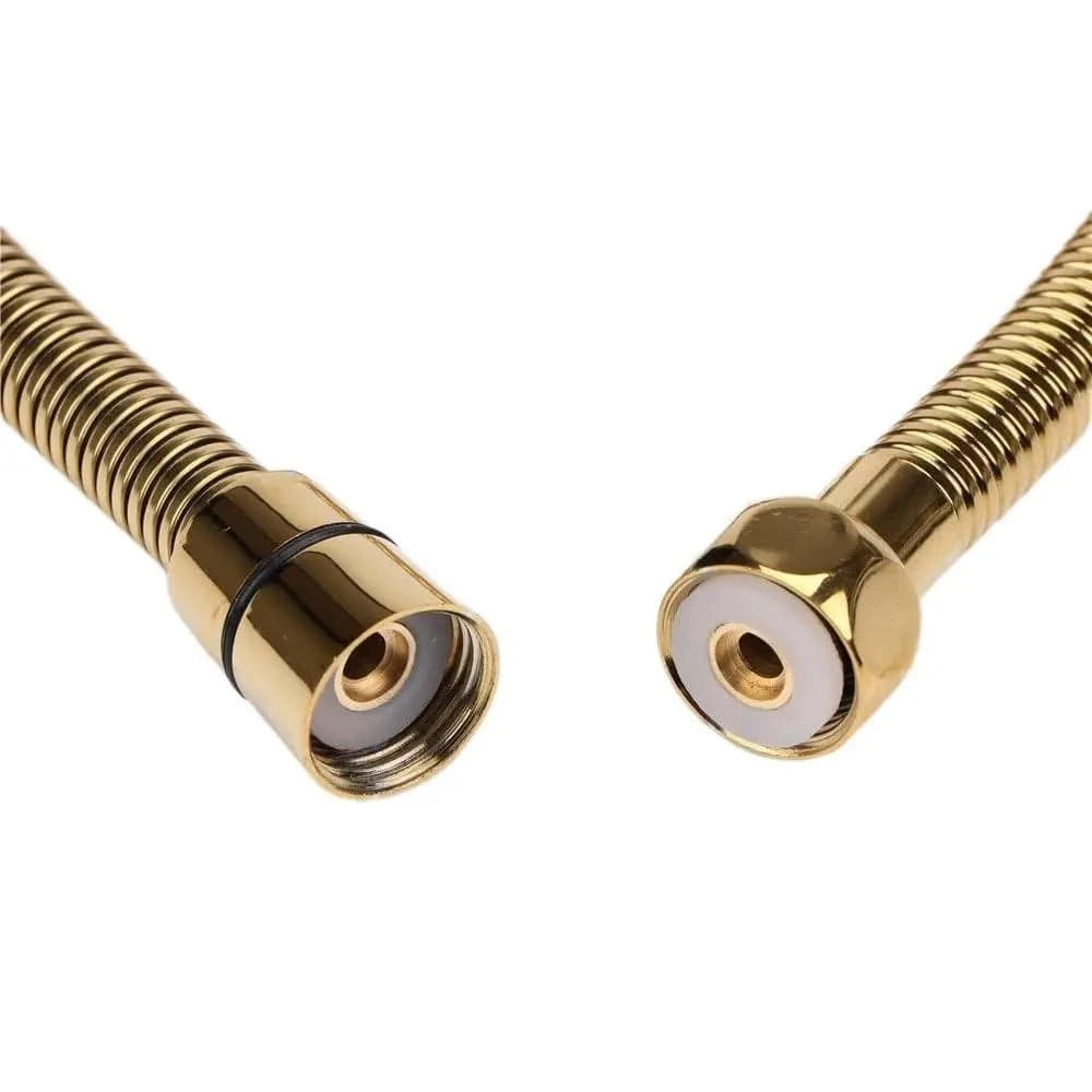 Flexible de Douche et Pommeau Mitigeo