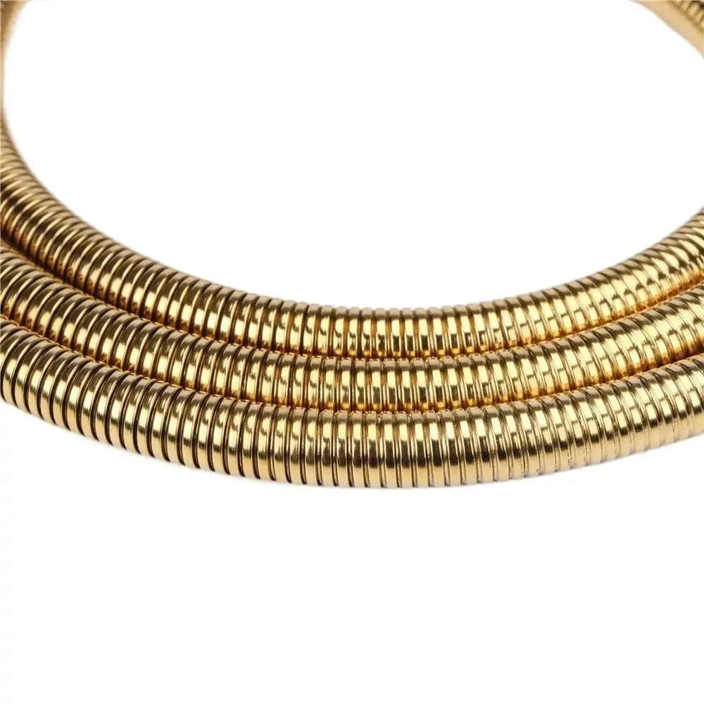 Flexible de Douche et Pommeau Mitigeo