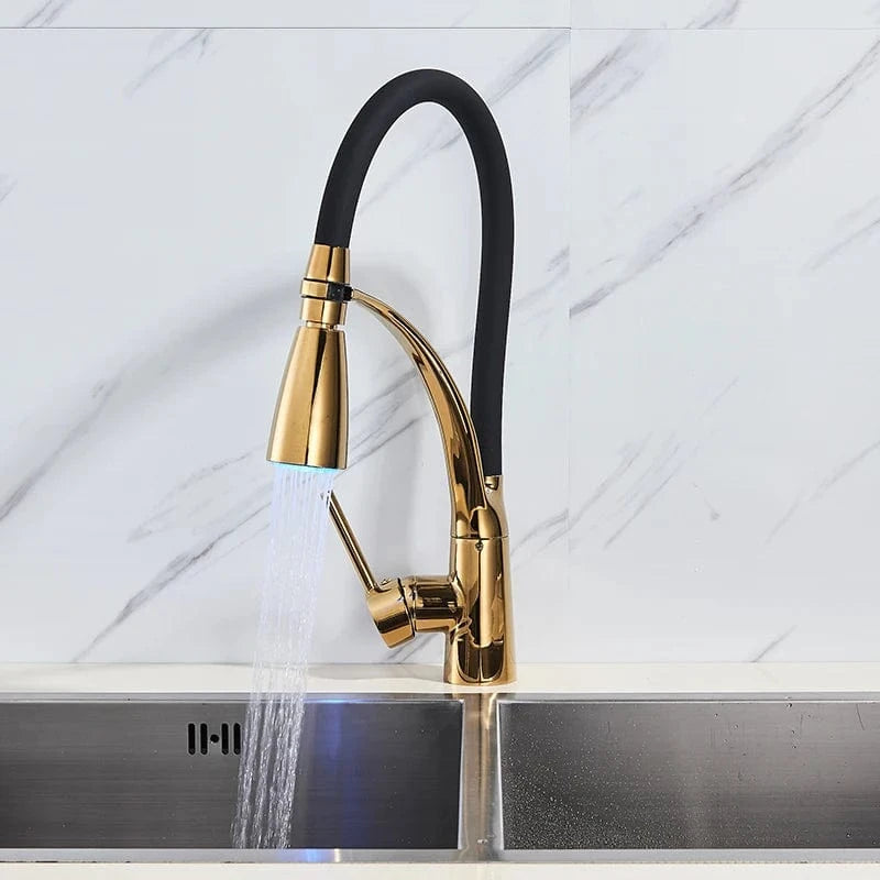 Mitigeo Mitigeur de Cuisine avec Douchette