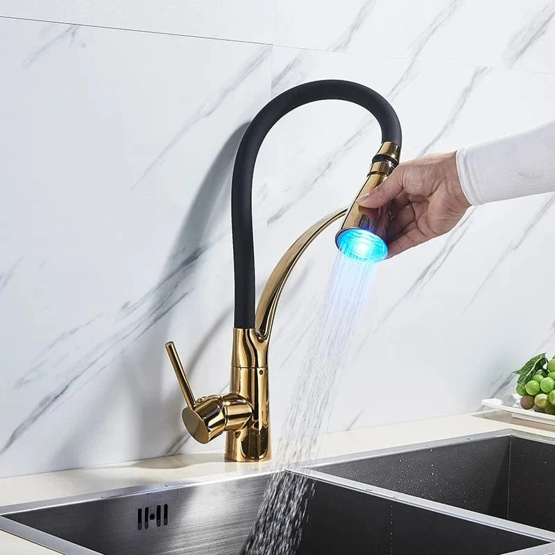 Mitigeo Mitigeur de Cuisine avec Douchette