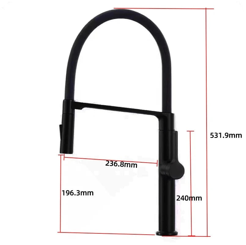 Noir Mat Robinet Cuisine Mitigeur avec Douchette Mitigeo