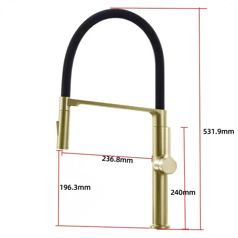 Or Brossé Robinet Cuisine Mitigeur avec Douchette Mitigeo