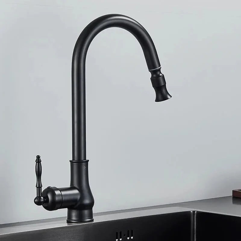 Black A Robinet Cuisine Vintage Douchette Mitigeo