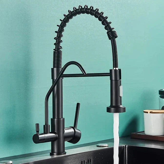 Mitigeo TYPE B-Noir Mat Robinet de Cuisine Professionnel