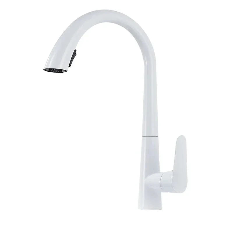 Mitigeo Blanc Douchette Evier Cuisine