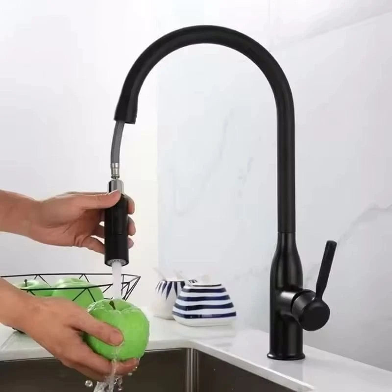 Mitigeo Noir Douchette pour Evier