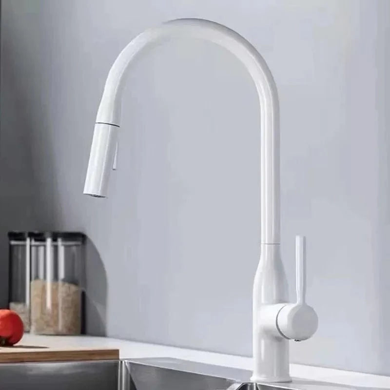Mitigeo Blanc Douchette pour Evier
