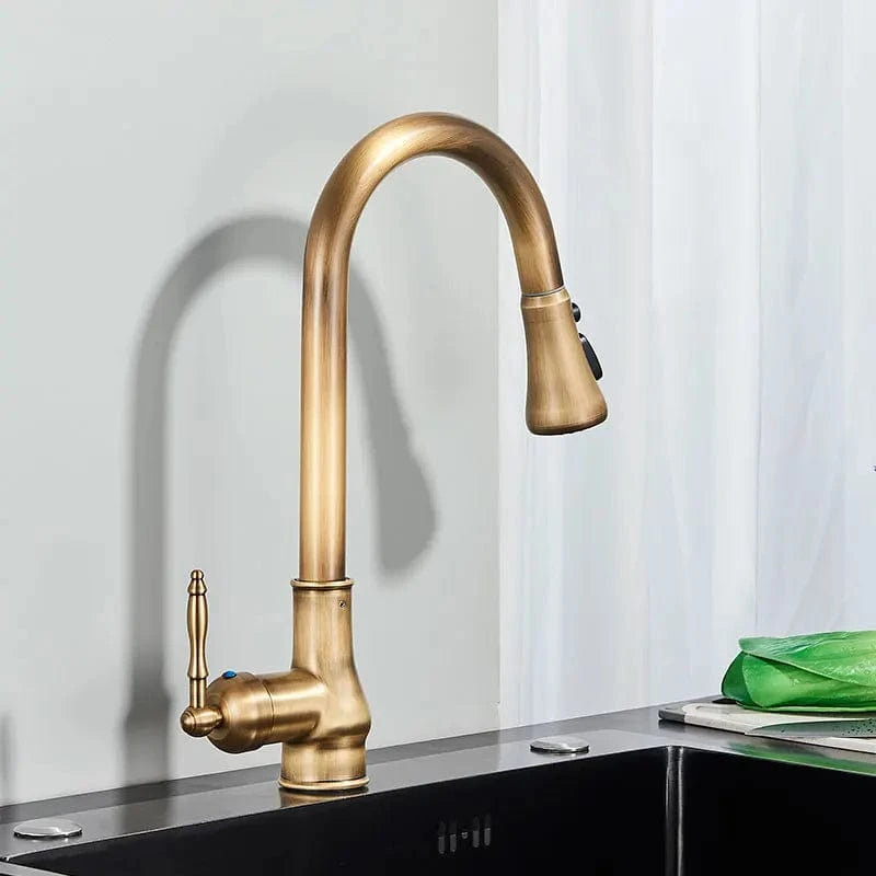 Mitigeo Robinet Cuisine Vintage Douchette