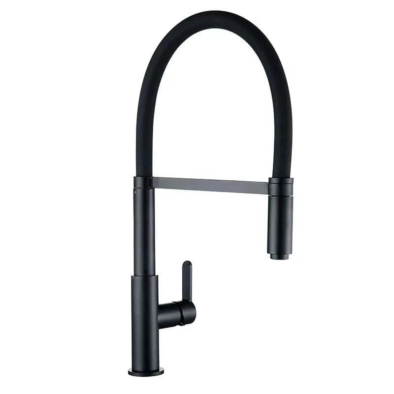 Mitigeo Robinet Douchette Cuisine