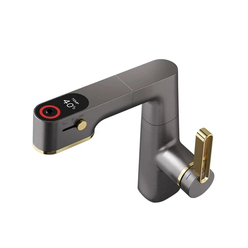 Mitigeo Gris Or Robinet Lavabo avec Douchette